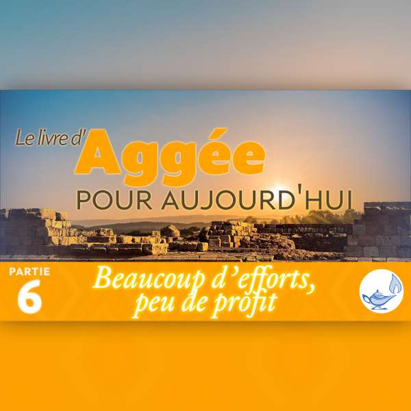 Beaucoup d’efforts, peu de profit