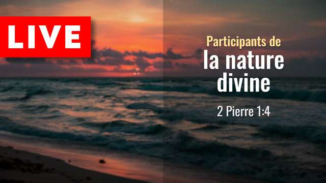 Participants de la nature divine